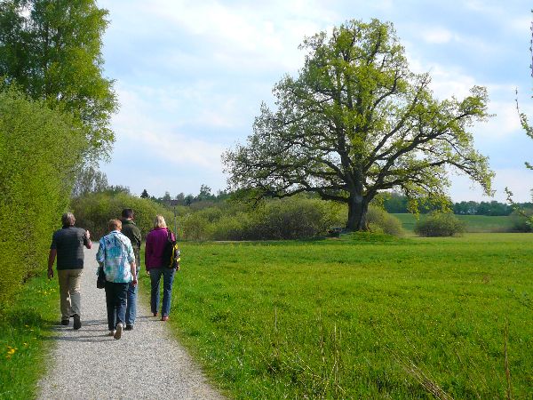 Zum Beenden - Bild anklicken